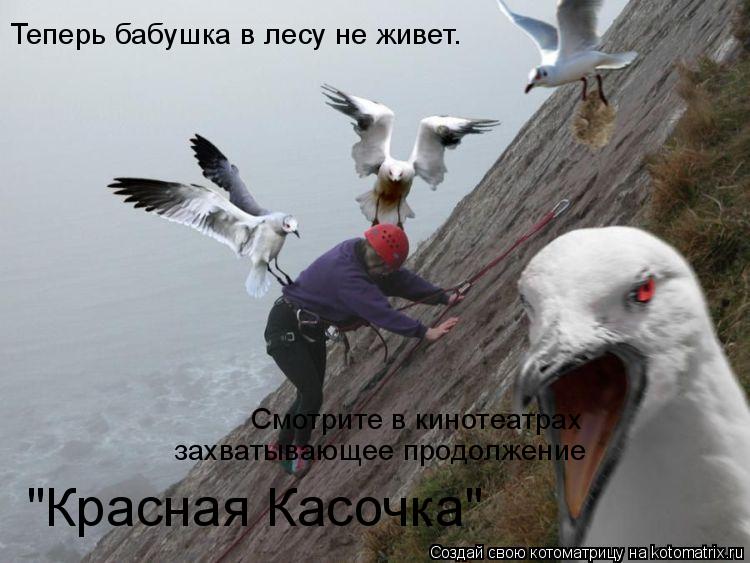 Котоматрица: Смотрите в кинотеатрах захватывающее продолжение Теперь бабушка в лесу не живет. "Красная Касочка"