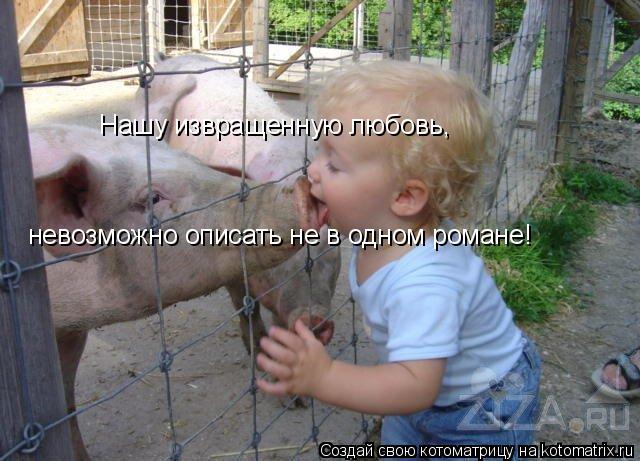 Котоматрица: Нашу извращенную любовь, невозможно описать не в одном романе!