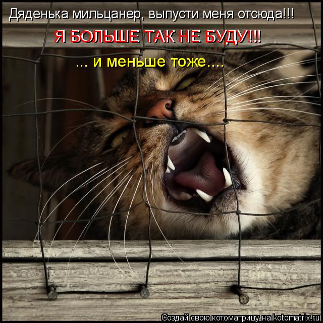 Котоматрица: Дяденька мильцанер, выпусти меня отсюда!!! ... и меньше тоже.... Я БОЛЬШЕ ТАК НЕ БУДУ!!! Я БОЛЬШЕ ТАК НЕ БУДУ!!!