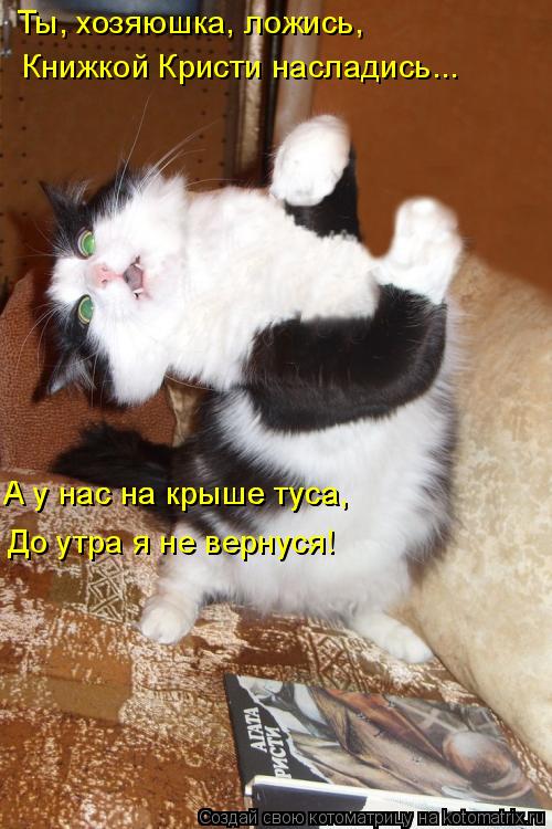 Ты, хозяюшка, ложись, Книжкой Кристи насладись... А у нас на крыше туса, А у нас на крыше туса, До ут... Котоматрица: Ты, хозяюшка, ложись, Книжкой Кристи насладись... А у нас на крыше туса, А у нас на крыше туса, До утра я не вернуся!