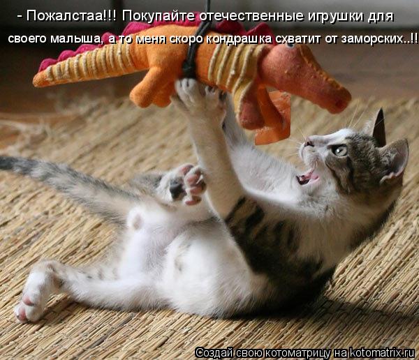 Котоматрица: - Пожалстаа!!! Покупайте отечественные игрушки для  своего малыша, а то меня скоро кондрашка схватит от заморских..!!!