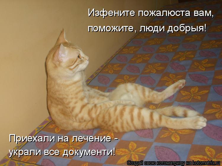 Котоматрица: Изфените пожалюста вам, поможите, люди добрыя! Приехали на лечение - украли все документи!