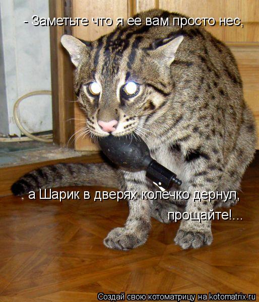 Котоматрица: - Заметьте что я ее вам просто нес,  а Шарик в дверях колечко дернул,  прощайте!...
