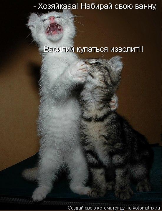 Котоматрица: - Хозяйкааа! Набирай свою ванну,  Василий купаться изволит!!