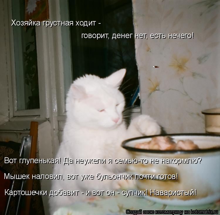 Хозяйка грустная ходит - говорит, денег нет, есть нечего! Вот глупенькая! Да неужели я семью-то не н... Котоматрица: Хозяйка грустная ходит - говорит, денег нет, есть нечего! Вот глупенькая! Да неужели я семью-то не накормлю? Мышек наловил, вот уже бульончик