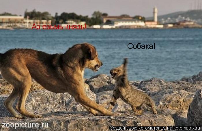 Собака! Аз езьмь князь!... Котоматрица: Собака! Аз езьмь князь!