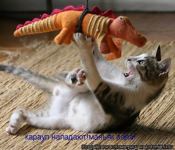 караул нападают!маньяк аааа!... Котоматрица: караул нападают!маньяк аааа!