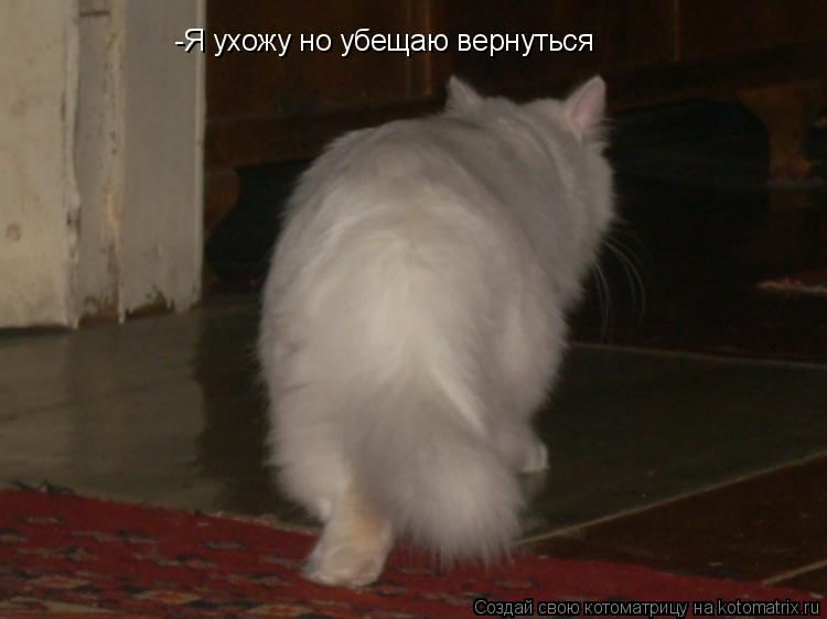 -Я ухожу но убещаю вернуться... Котоматрица: -Я ухожу но убещаю вернуться
