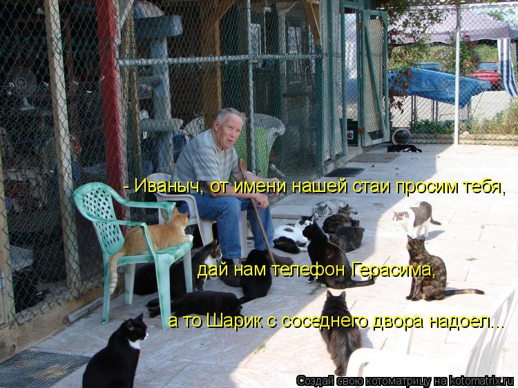 - Иваныч, от имени нашей стаи просим тебя, дай нам телефон Герасима, а то Шарик с соседнего двора н... Котоматрица: - Иваныч, от имени нашей стаи просим тебя, дай нам телефон Герасима, а то Шарик с соседнего двора надоел...