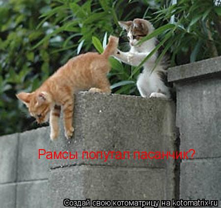 Котоматрица: Рамсы попутал пасанчик?