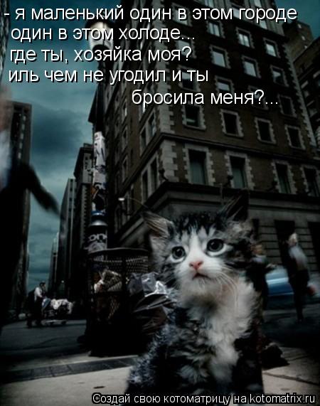 Котоматрица: - я маленький один в этом городе один в этом холоде... где ты, хозяйка моя? иль чем не угодил и ты  бросила меня?...