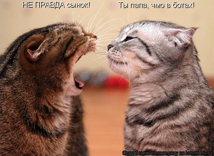НЕ ПРАВДА сынок! Ты папа, чмо в ботах!... Котоматрица: НЕ ПРАВДА сынок! Ты папа, чмо в ботах!
