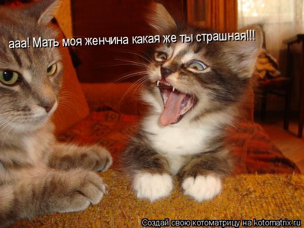 ааа! Мать моя женчина какая же ты страшная!!!... Котоматрица: ааа! Мать моя женчина какая же ты страшная!!!