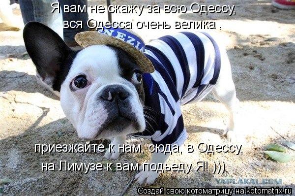 Котоматрица: Я вам не скажу за всю Одессу, приезжайте к нам, сюда, в Одессу, на Лимузе к вам подьеду Я! )))  вся Одесса очень велика ,