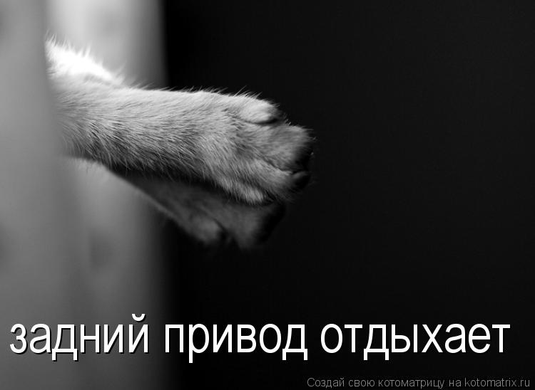 задний привод отдыхает... Котоматрица: задний привод отдыхает