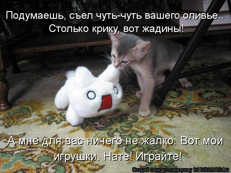 Подумаешь, съел чуть-чуть вашего оливье.. Столько крику, вот жадины! А мне для вас ничего не жалко. В... Котоматрица: Подумаешь, съел чуть-чуть вашего оливье.. Столько крику, вот жадины! А мне для вас ничего не жалко. Вот мои игрушки. Нате! Играйте!