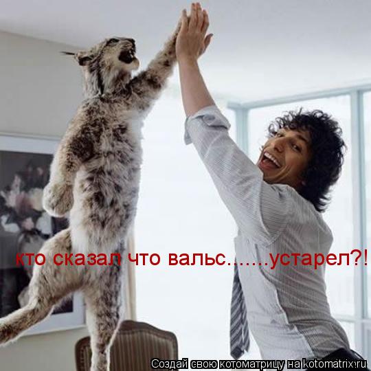 Котоматрица: кто сказал что вальс.......устарел?!