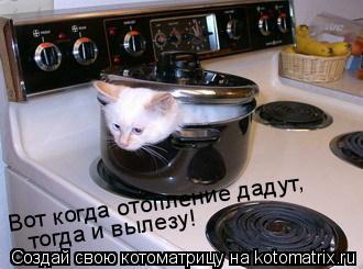 Котоматрица: Вот когда отопление дадут, тогда и вылезу!