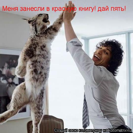 Меня занесли в красную книгу! дай пять!... Котоматрица: Меня занесли в красную книгу! дай пять!