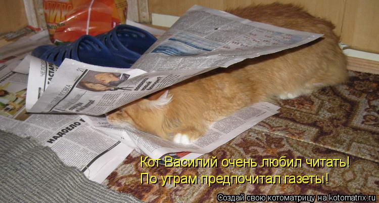 Котоматрица: Кот Василий очень любил читать! По утрам предпочитал газеты!