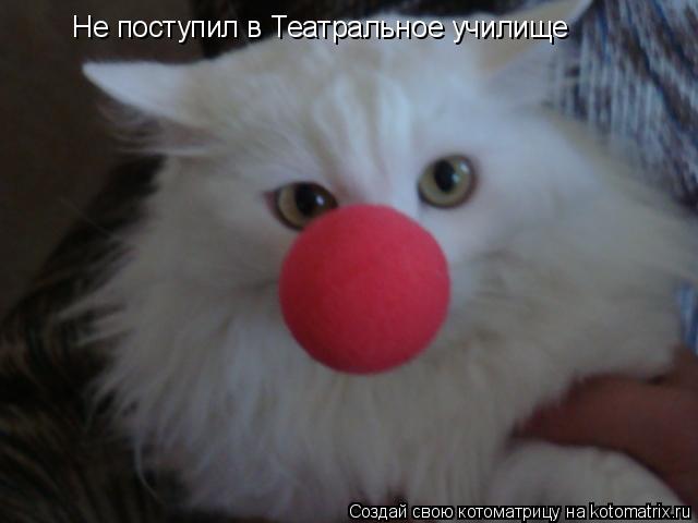 Не поступил в Театральное училище... Котоматрица: Не поступил в Театральное училище