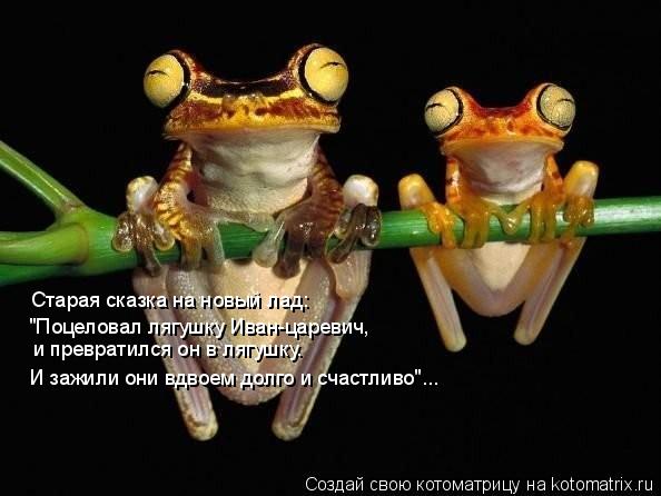 Старая сказка на новый лад: "Поцеловал лягушку Иван-царевич, и превратился он в лягушку. И зажили они... Котоматрица: Старая сказка на новый лад: "Поцеловал лягушку Иван-царевич, и превратился он в лягушку. И зажили они вдвоем долго и счастливо"...