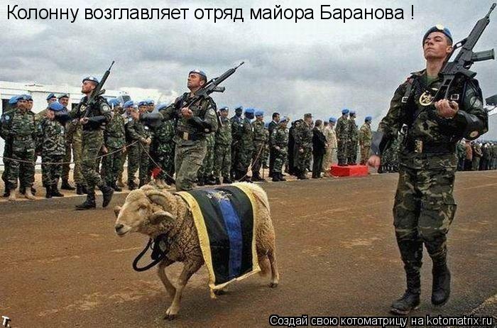 Котоматрица: Колонну возглавляет отряд майора Баранова !