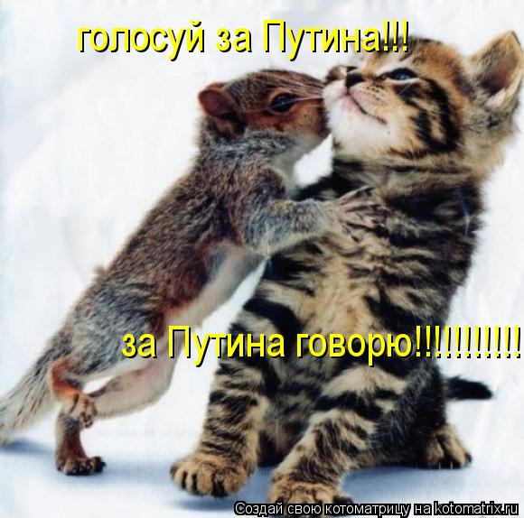 голосуй за Путина!!! за Путина говорю!!!!!!!!!!!!!!... Котоматрица: голосуй за Путина!!! за Путина говорю!!!!!!!!!!!!!!
