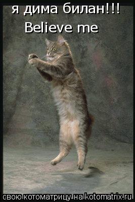Котоматрица: я дима билан!!! Believe me