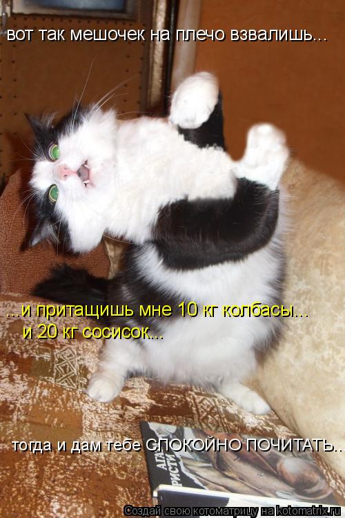 Котоматрица: вот так мешочек на плечо взвалишь... ...и притащишь мне 10 кг колбасы...  и 20 кг сосисок... тогда и даи тебеСПОКОЙНО спокойно почитать... тогда и да