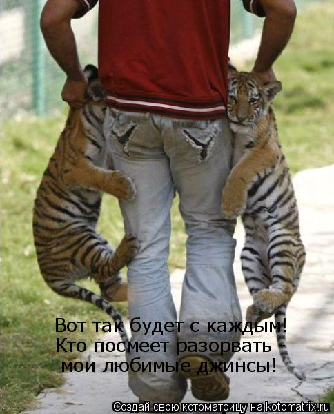 Котоматрица: Вот так будет с каждым! Кто посмеет разорвать -   мои любимые джинсы!