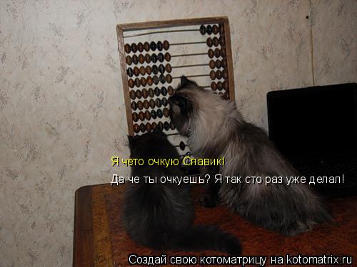 Котоматрица: Да че ты очкуешь? Я так сто раз уже делал! Я чето очкую Славик!
