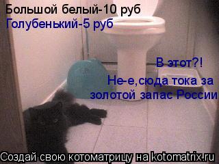 Котоматрица: Большой белый-10 руб Голубенький-5 руб В этот?! Не-е,сюда тока за  золотой запас России