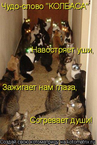 Котоматрица: Чудо-слово "КОЛБАСА" Зажигает нам глаза, Согревает души! Навостряет уши,