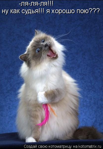 Котоматрица: -ля-ля-ля!!! ну как судья!!! я хорошо пою???
