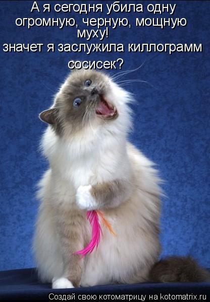 А я сегодня убила одну огромную, черную, мощную муху! значет я заслужила киллограмм сосисек?... Котоматрица: А я сегодня убила одну огромную, черную, мощную муху! значет я заслужила киллограмм сосисек?