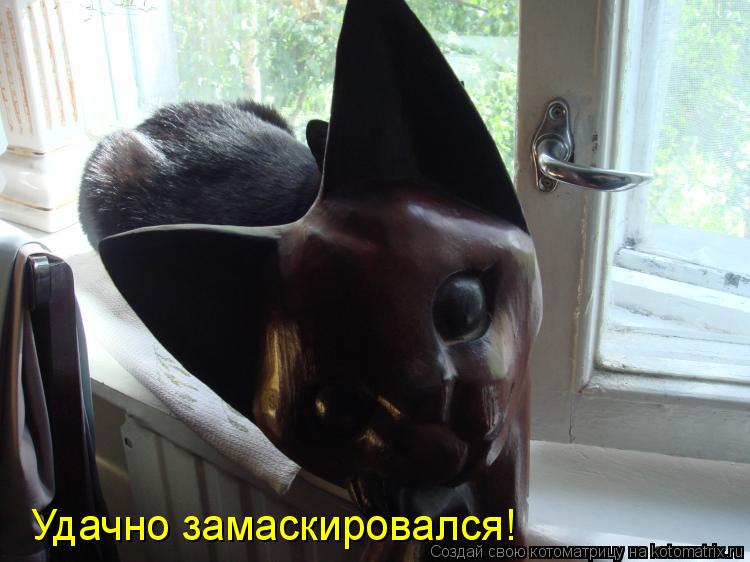 Удачно замаскировался!... Котоматрица: Удачно замаскировался!