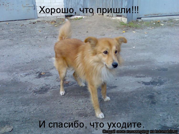 Котоматрица: Хорошо, что пришли!!! И спасибо, что уходите.