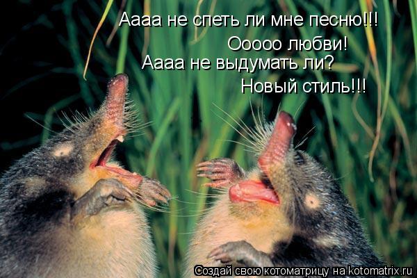 Котоматрица: Аааа не спеть ли мне песню!!! Ооооо любви! Аааа не выдумать ли? Новый стиль!!!