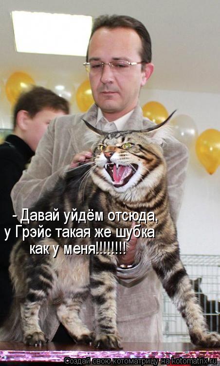 Котоматрица: - Давай уйдём отсюда, у Грэйс такая же шубка   как у меня!!!!!!!!