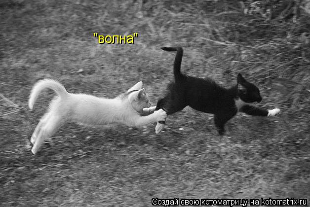 Котоматрица: "волна"