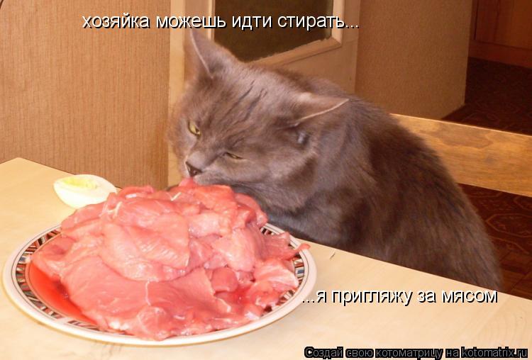 хозяйка можешь идти стирать... ...я пригляжу за мясом... Котоматрица: хозяйка можешь идти стирать... ...я пригляжу за мясом