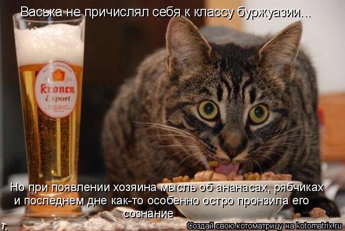 Васька не причислял себя к классу буржуазии... Но при появлении хозяина мысль об ананасах, рябчиках ... Котоматрица: Васька не причислял себя к классу буржуазии... Но при появлении хозяина мысль об ананасах, рябчиках и последнем дне как-то особенно остро пр