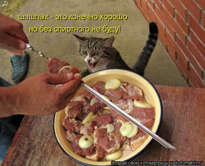 шашлык - это конечно хорошо но без спиртного не буду!... Котоматрица: шашлык - это конечно хорошо но без спиртного не буду!