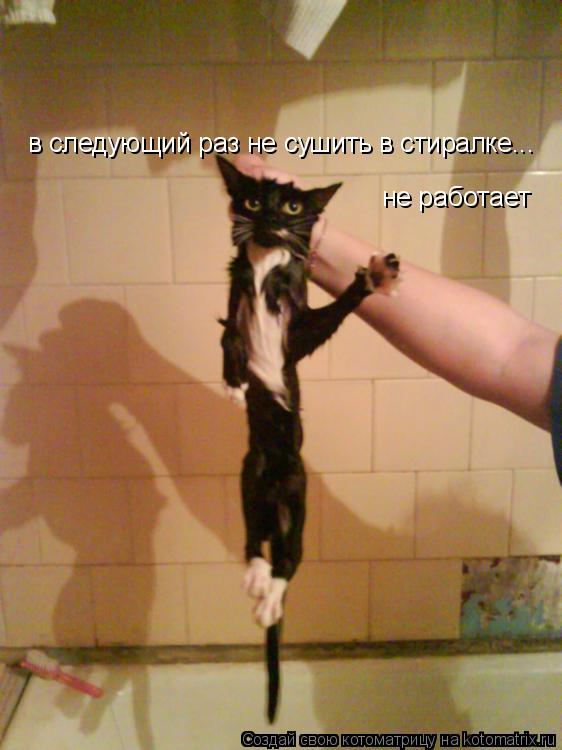 не работает в следующий раз не сушить в стиралке...... Котоматрица: не работает в следующий раз не сушить в стиралке...