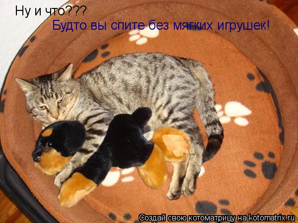 Котоматрица: Ну и что???  Будто вы спите без мягких игрушек!