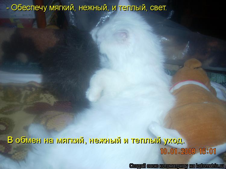 - Обеспечу мягкий, нежный, и теплый, свет. В обмен на мягкий, нежный и теплый уход.... Котоматрица: - Обеспечу мягкий, нежный, и теплый, свет. В обмен на мягкий, нежный и теплый уход.