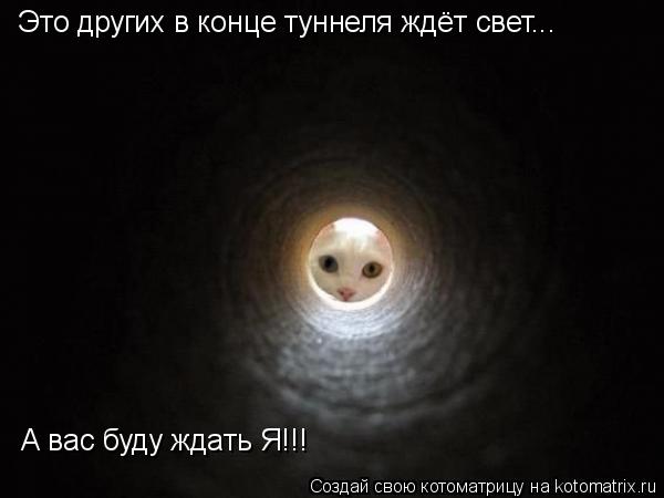 Котоматрица: Это других в конце туннеля ждёт свет... А вас буду ждать Я!!!