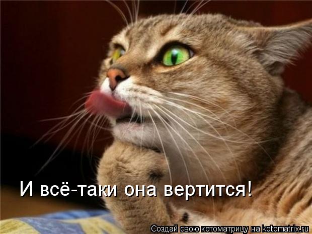 Котоматрица: И всё-таки она вертится!