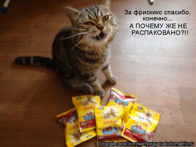 Котоматрица: За фрискикс спасибо, конечно... А ПОЧЕМУ ЖЕ НЕ РАСПАКОВАНО?!!